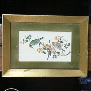 Vintage Bird Picture Green Matting and Gold Frame